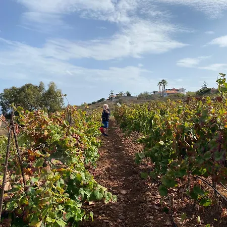 Апартаменты Angelus Syrah With Amazing Views *
