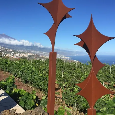 Angelus Syrah With Amazing Views Апартаменты *