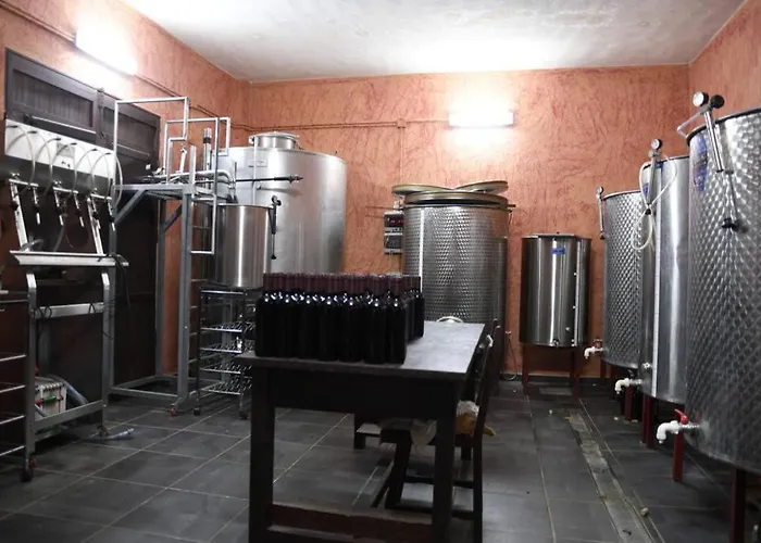 Angelus Syrah With Amazing Views Апартаменты *