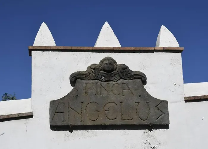 דירה Angelus Syrah With Amazing Views La Matanza De Acentejo