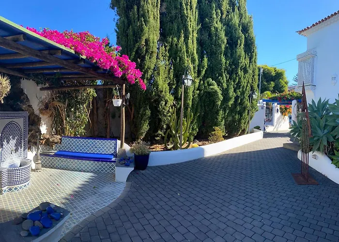 Angelus Syrah With Amazing Views La Matanza De Acentejo