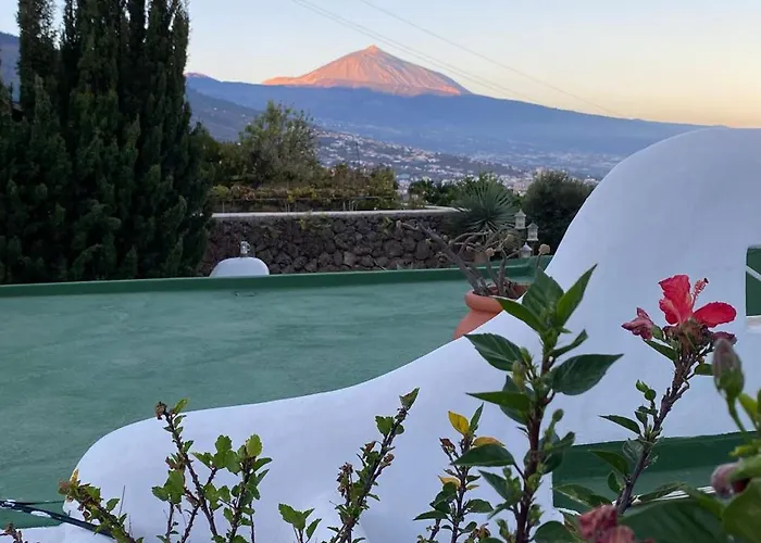 Angelus Syrah With Amazing Views La Matanza De Acentejo