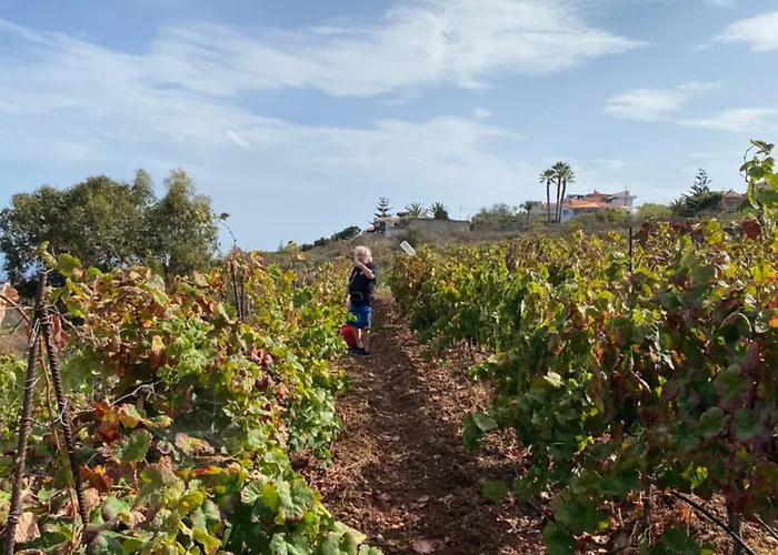 דירה Angelus Syrah With Amazing Views *