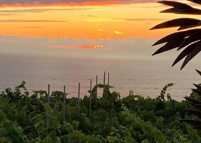 Angelus Syrah With Amazing Views דירה