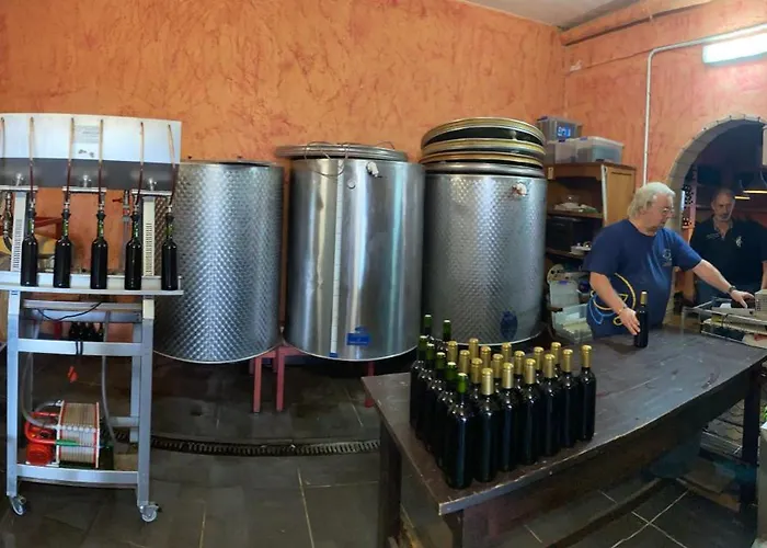 דירה Angelus Syrah With Amazing Views La Matanza De Acentejo