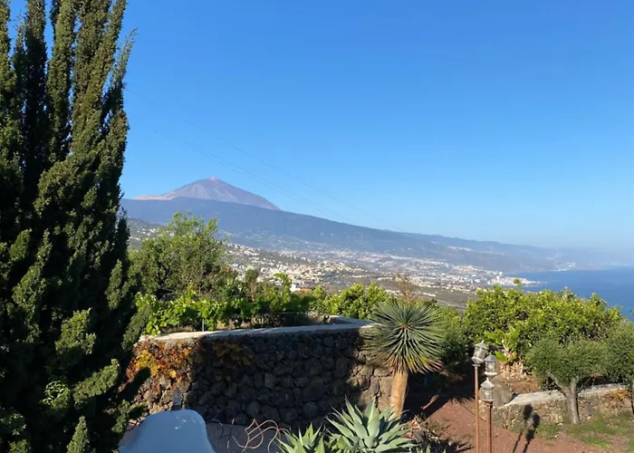 Angelus Syrah With Amazing Views
