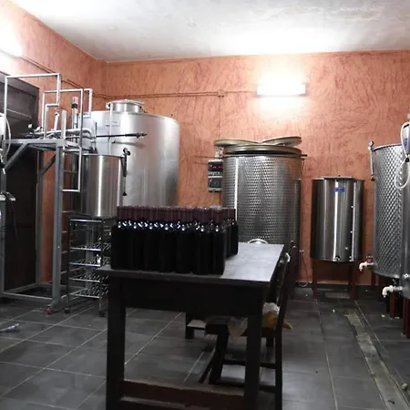Angelus Syrah With Amazing Views Appartement *