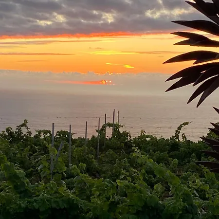 Angelus Syrah With Amazing Views Appartement
